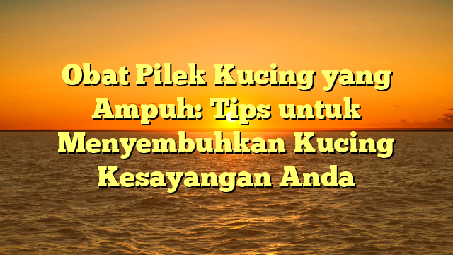 Obat Pilek Kucing yang Ampuh: Tips untuk Menyembuhkan Kucing Kesayangan Anda