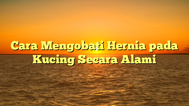 Cara Mengobati Hernia pada Kucing Secara Alami