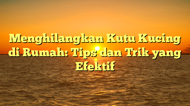 Menghilangkan Kutu Kucing di Rumah: Tips dan Trik yang Efektif