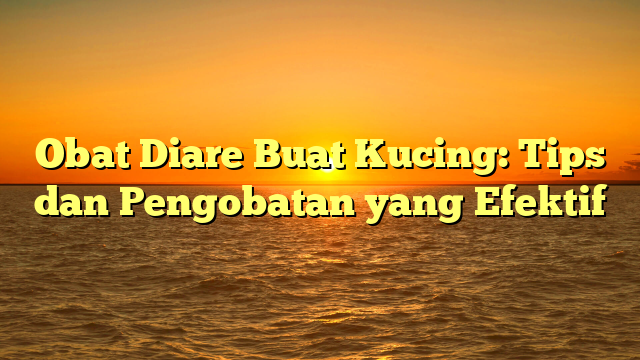 Obat Diare Buat Kucing: Tips dan Pengobatan yang Efektif